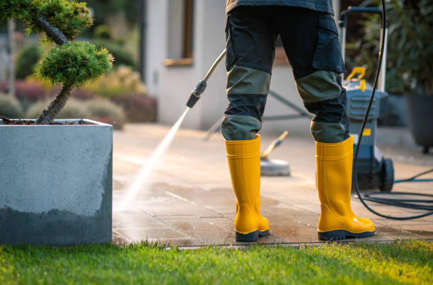Best Sidewalk Pressure Washing  in Grants, NM